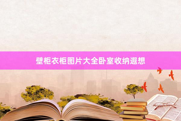 壁柜衣柜图片大全卧室收纳遐想