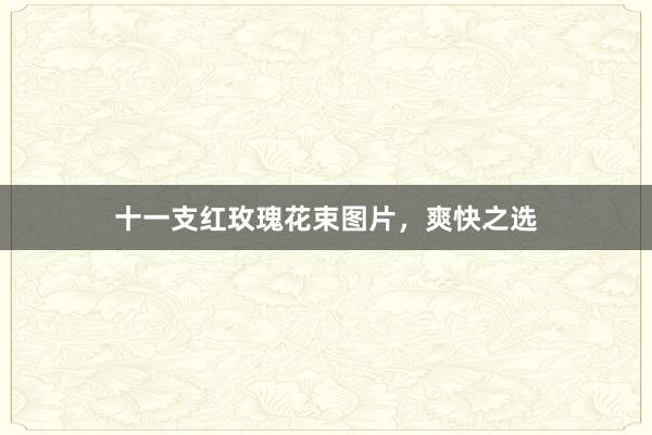 十一支红玫瑰花束图片，爽快之选